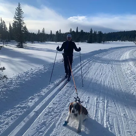 Strupa - 3 Bedroom In Dom wakacyjny Hemsedal